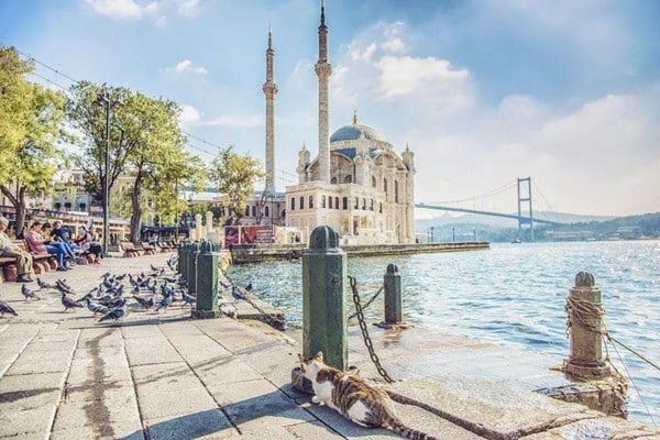 Istanbul Real Estate